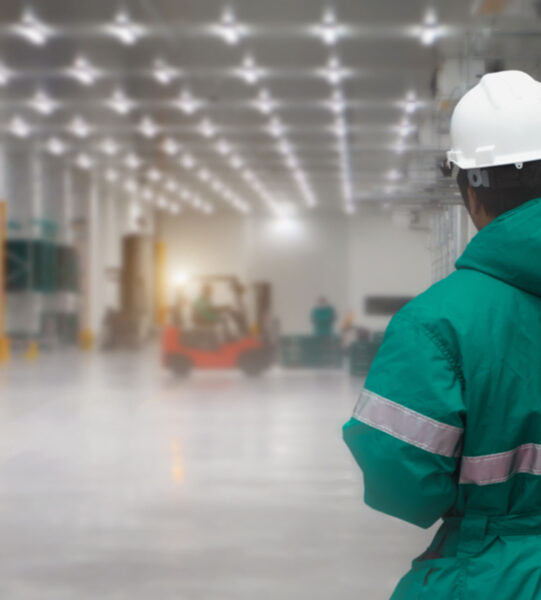 shutterstock_1309093417